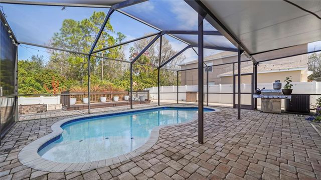 12507 BAY BRANCH COURT, Tampa, FL 33635