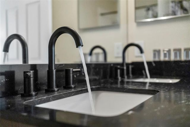 12507 BAY BRANCH COURT, Tampa, FL 33635