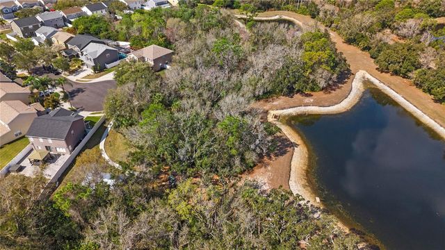 12507 BAY BRANCH COURT, Tampa, FL 33635