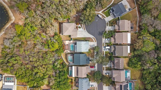 12507 BAY BRANCH COURT, Tampa, FL 33635