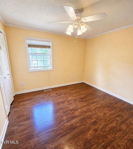 320 Harr Drive, Bluff City, TN 37618