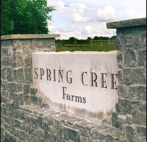 210 Addison Ave, Chapel Hill, TN 37034