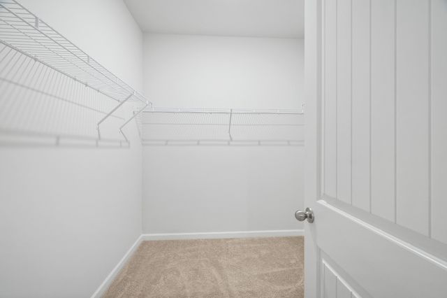 210 Addison Ave, Chapel Hill, TN 37034