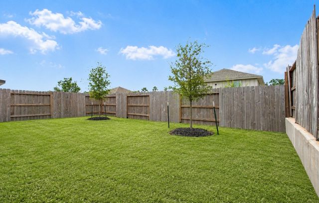 1741 Cayden Oak Lane, Conroe, TX 77304