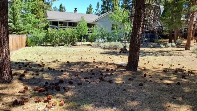 0 St Moritz, Big Bear, CA 92315