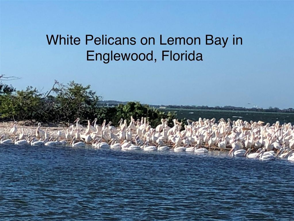 Image 62 of property listing at 1104 YOSEMITE DRIVE, Englewood, FL 34223