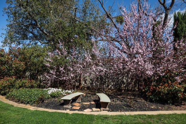 253 Fremont Avenue, Los Altos, CA 94024