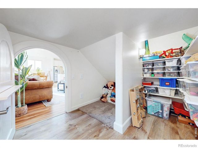 1573 Brolien Drive, Windsor, CO 80550
