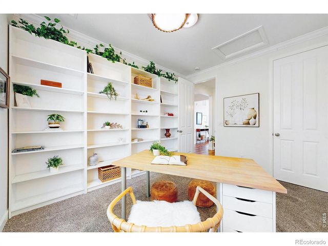 1573 Brolien Drive, Windsor, CO 80550