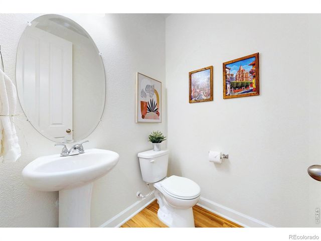 1573 Brolien Drive, Windsor, CO 80550
