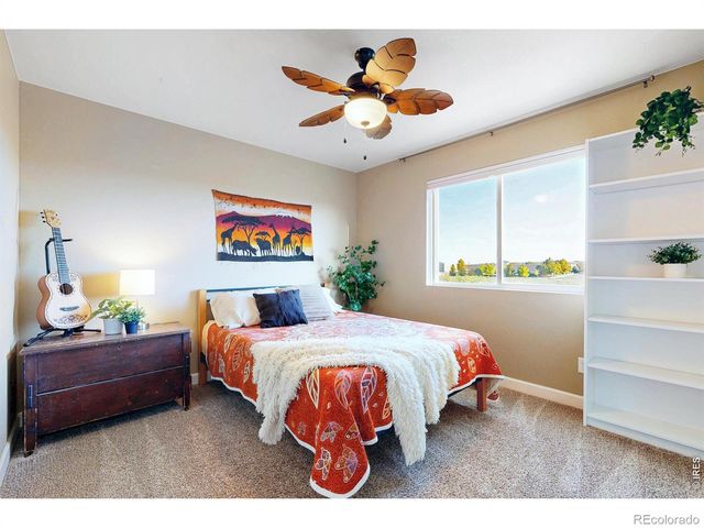1573 Brolien Drive, Windsor, CO 80550
