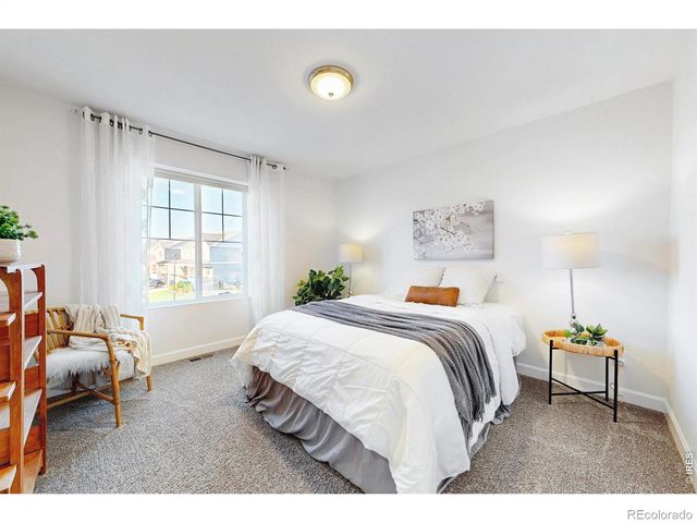 1573 Brolien Drive, Windsor, CO 80550