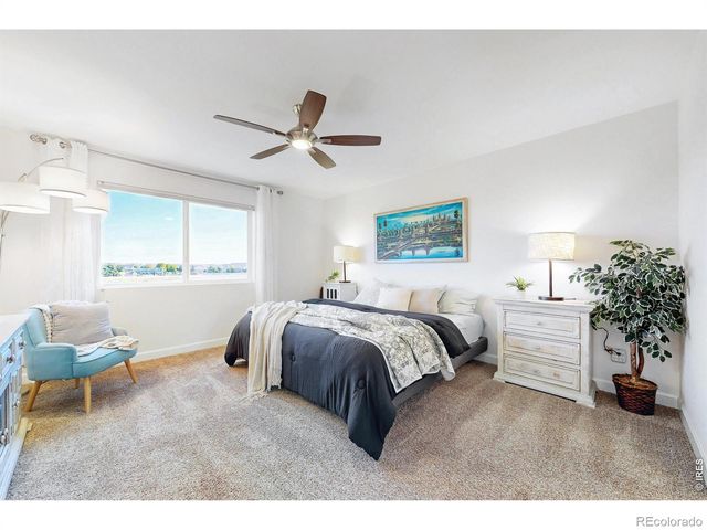 1573 Brolien Drive, Windsor, CO 80550