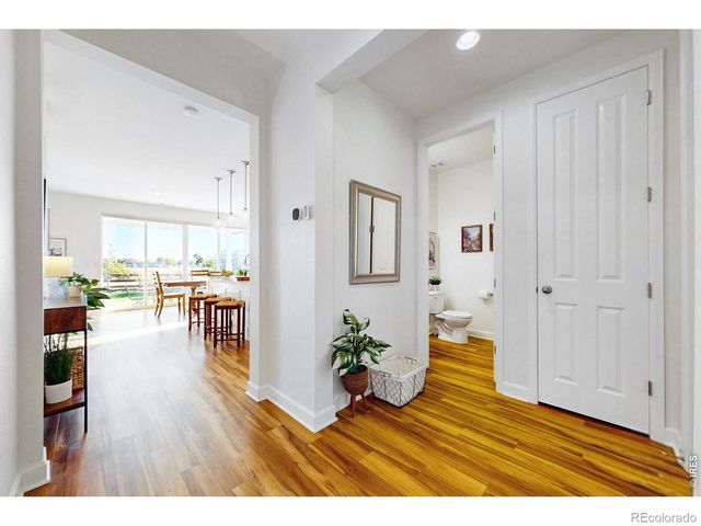 1573 Brolien Drive, Windsor, CO 80550