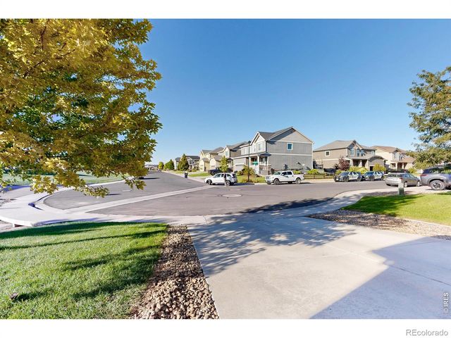 1573 Brolien Drive, Windsor, CO 80550