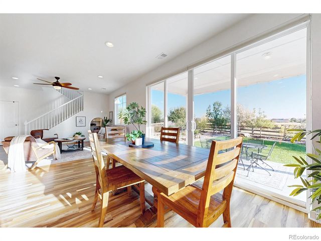 1573 Brolien Drive, Windsor, CO 80550
