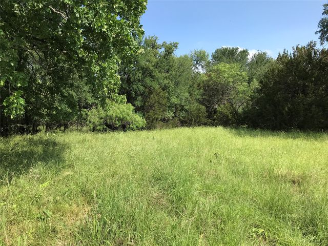 17061 Trailwood Drive, Whitney, TX 76692