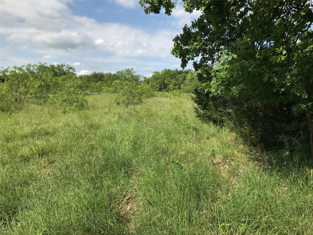 17061 Trailwood Drive, Whitney, TX 76692