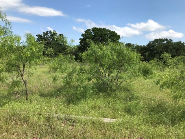 17061 Trailwood Drive, Whitney, TX 76692