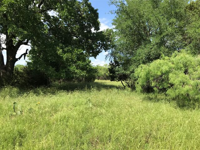 17061 Trailwood Drive, Whitney, TX 76692