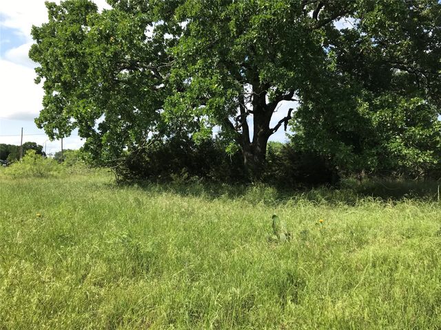 17061 Trailwood Drive, Whitney, TX 76692
