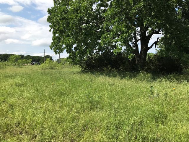 17061 Trailwood Drive, Whitney, TX 76692