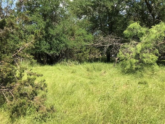 17061 Trailwood Drive, Whitney, TX 76692