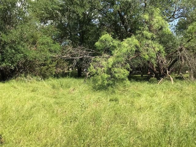 17061 Trailwood Drive, Whitney, TX 76692