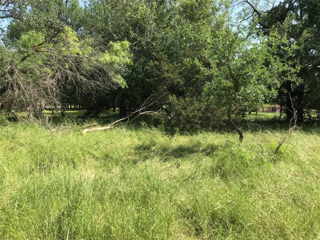 17061 Trailwood Drive, Whitney, TX 76692