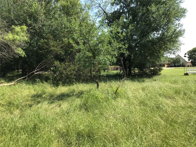 17061 Trailwood Drive, Whitney, TX 76692