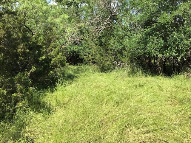 17061 Trailwood Drive, Whitney, TX 76692