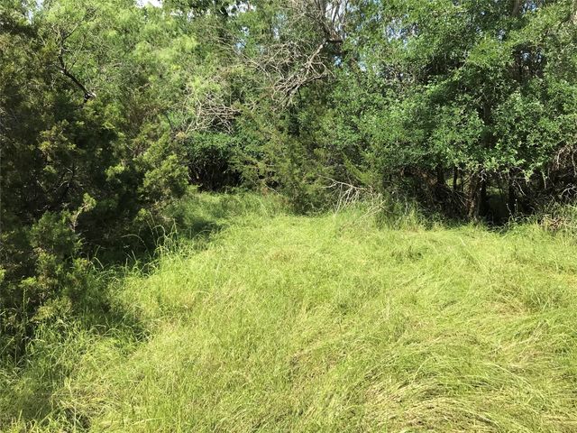 17061 Trailwood Drive, Whitney, TX 76692