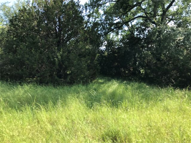 17061 Trailwood Drive, Whitney, TX 76692