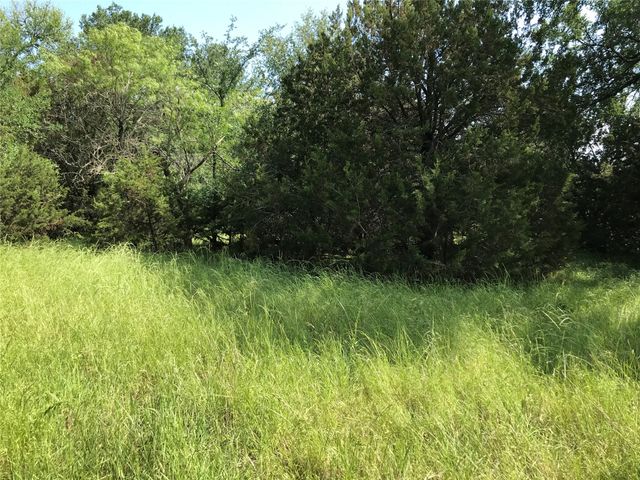 17061 Trailwood Drive, Whitney, TX 76692