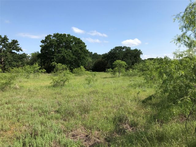 17061 Trailwood Drive, Whitney, TX 76692