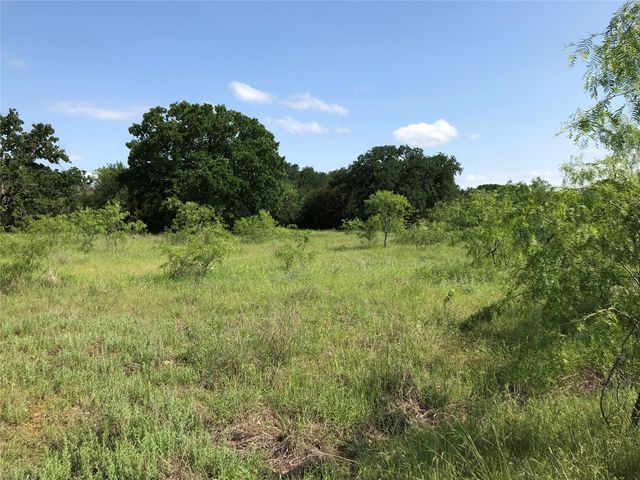 17061 Trailwood Drive, Whitney, TX 76692