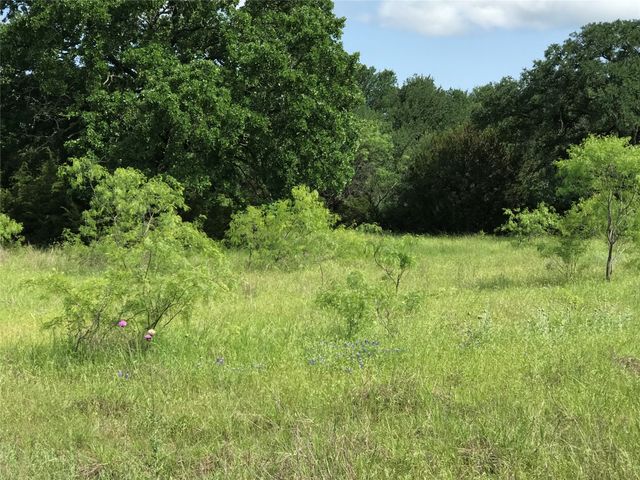 17061 Trailwood Drive, Whitney, TX 76692