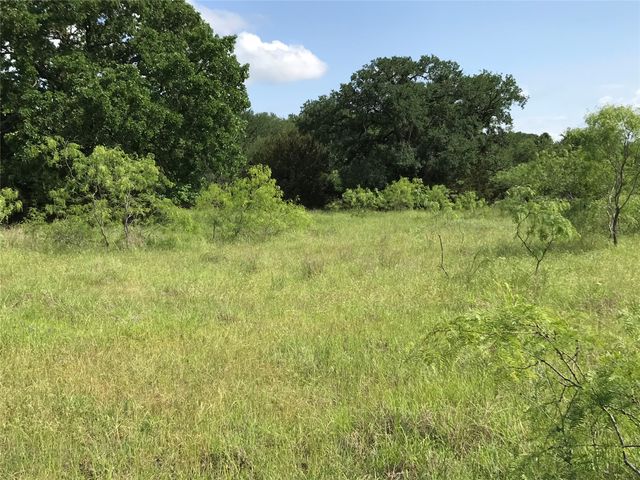 17061 Trailwood Drive, Whitney, TX 76692