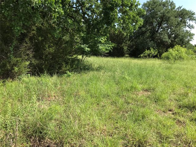 17061 Trailwood Drive, Whitney, TX 76692