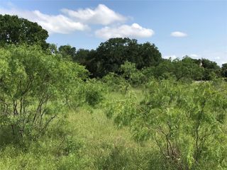 17061 Trailwood Drive, Whitney, TX 76692