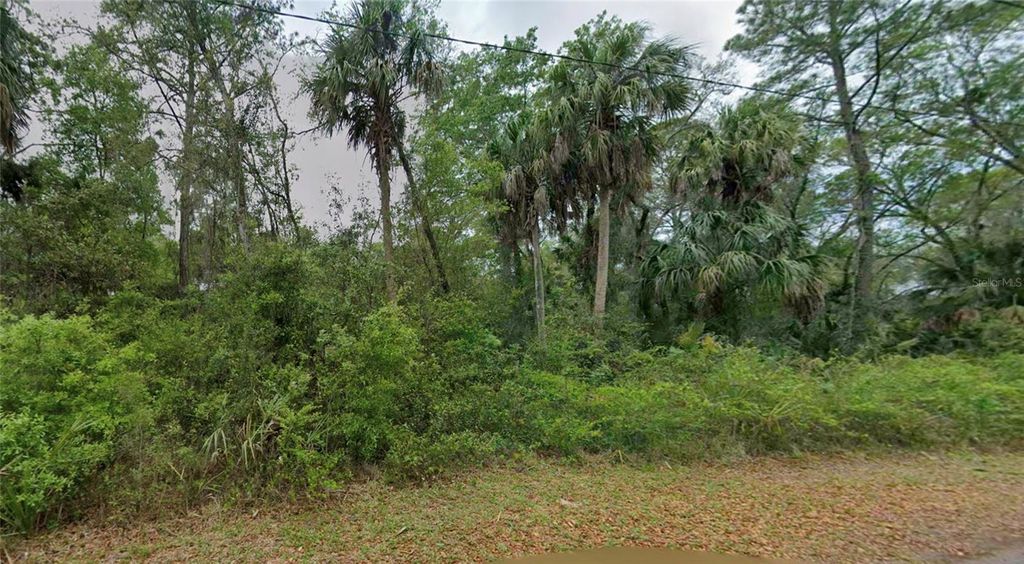 11148 W CEDAR LAKE DRIVE, Crystal River, FL 34428