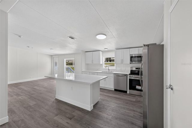 225 SKYLINE DRIVE, Lady Lake, FL 32159