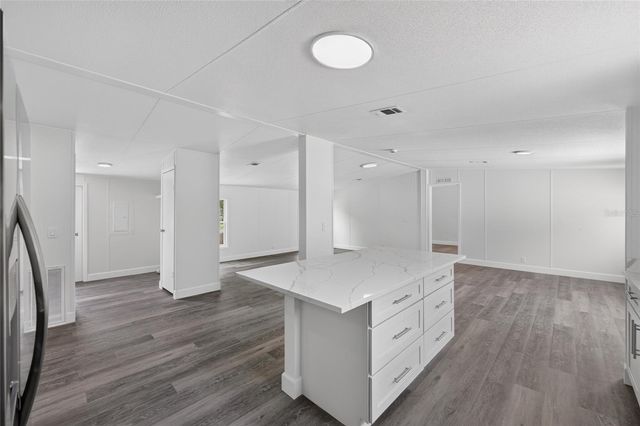 225 SKYLINE DRIVE, Lady Lake, FL 32159