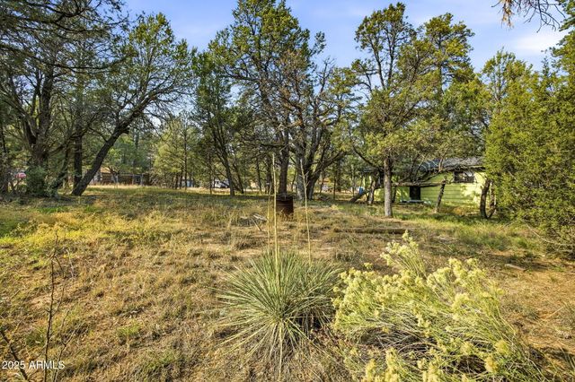 2887 CENTER Road, Overgaard, AZ 85933