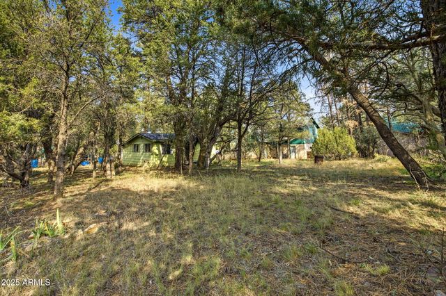 2887 CENTER Road, Overgaard, AZ 85933