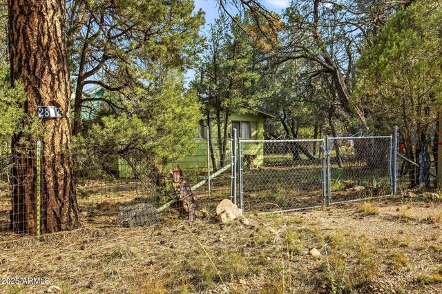 2887 CENTER Road, Overgaard, AZ 85933