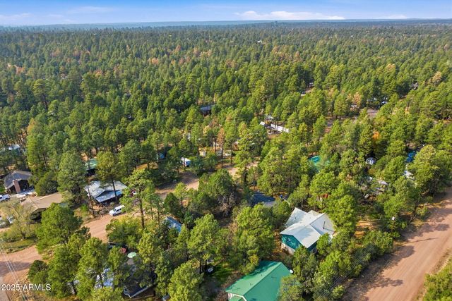 2887 CENTER Road, Overgaard, AZ 85933