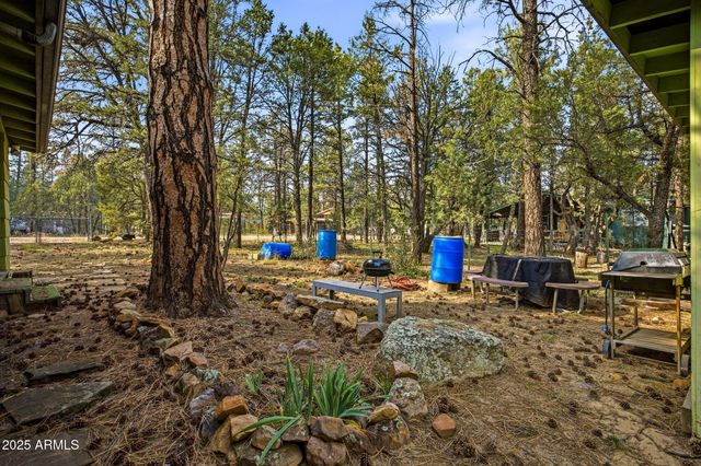 2887 CENTER Road, Overgaard, AZ 85933