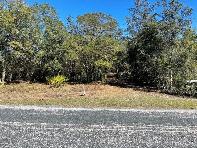 NE 310TH AVENUE, Fort Mc Coy, FL 32134