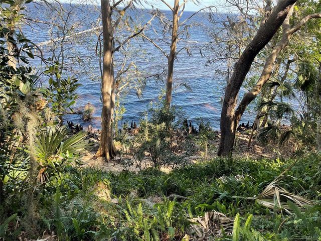 NE 310TH AVENUE, Fort Mc Coy, FL 32134